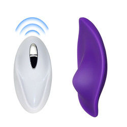 Vibrator sexuel féminin sans fil de 20 cm, petit vibrateur d'oeufs, sous-vêtements portables.