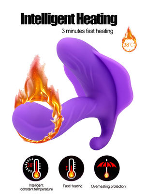Vibrateur Bluetooth imperméable à l'eau de 14 cm Jouet sexuel Vibrateur rechargeable