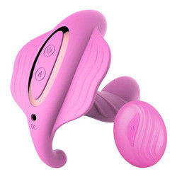 Vibrateur Bluetooth imperméable à l'eau de 14 cm Jouet sexuel Vibrateur rechargeable