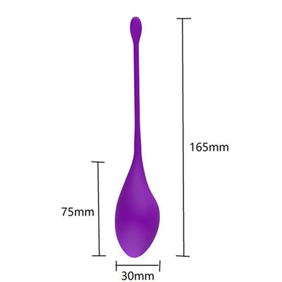 30g de jeu de poids de la boule de Kegel pour le plancher pelvien médical